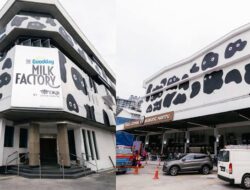 Job Vacancy Milk Singapore Salary: SGD 2,300 – 3,800 / month